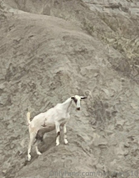 suuuuuki sexy star images