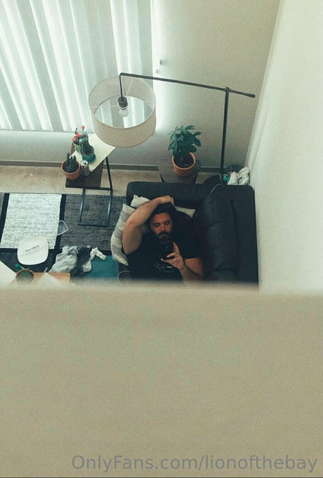 lionofthebay adult model pics