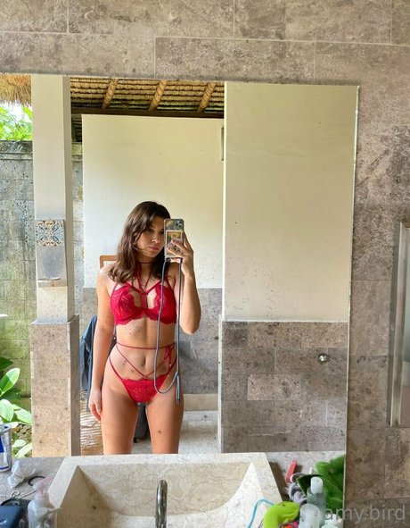 bird person free star adult image