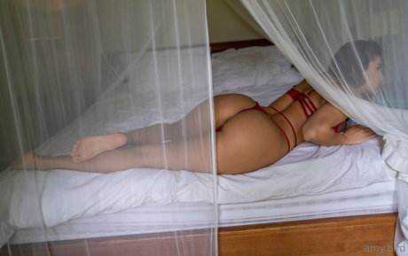 bird person free nude pornstar galleries