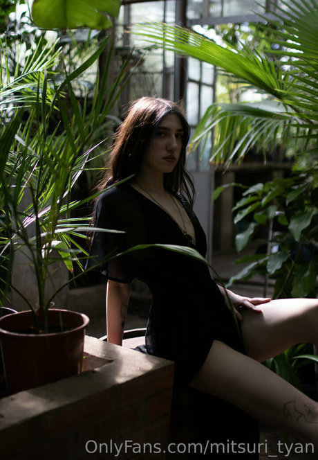 baby and dollyy star pornographic archive