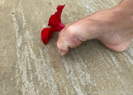 arab pawg onlyfans sexy naked gallery