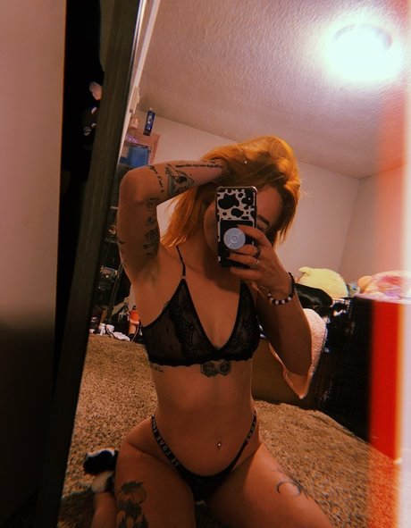 Indoor wilding star pictures