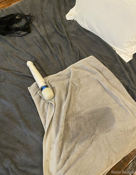 remireagan star pornographic picture