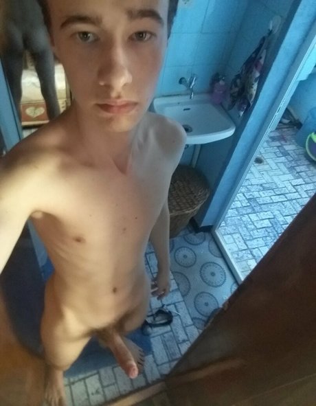 Valeto1204 art star archive