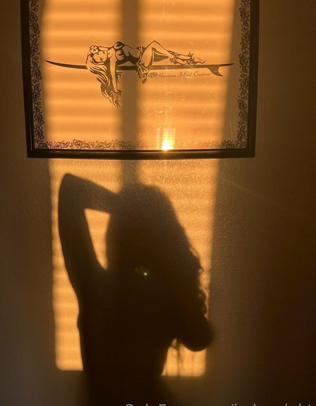 indywright star porn photo