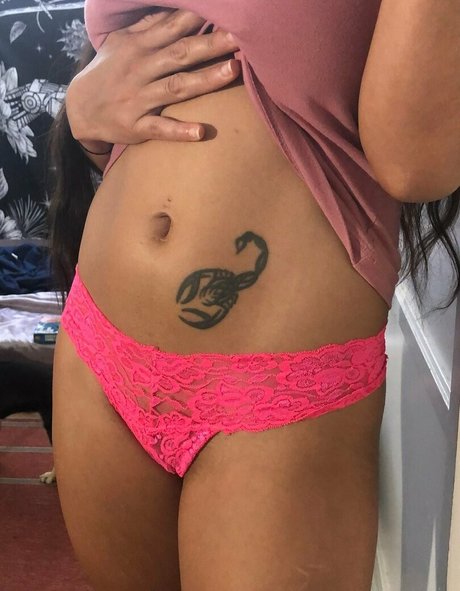 cybcin pornstar adult archive