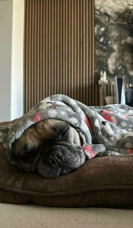 bianoir Quick model image