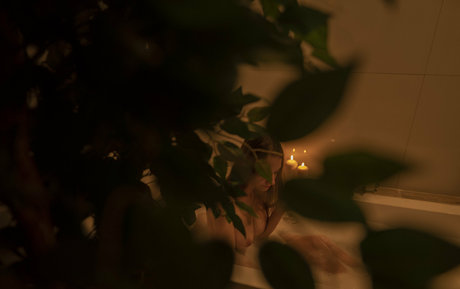 Lisadere perfect star pic