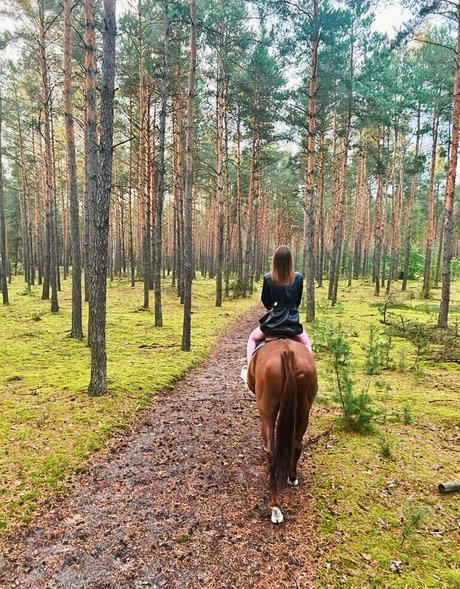 aliss foxy star top picture