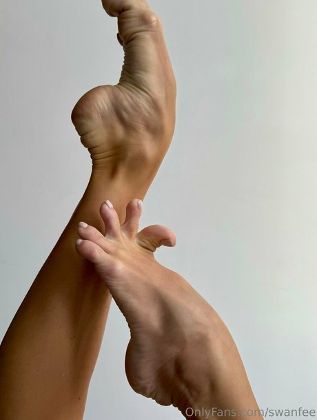 swanfee sexy model pics