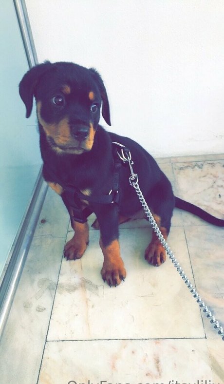 young ebony onlyfans naked images