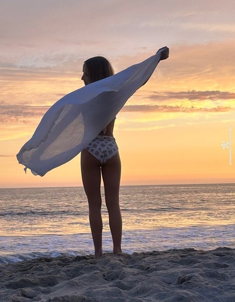 BrandArmy star adult picture