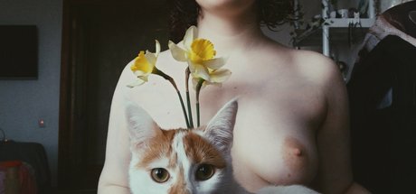 alicenudes nice pornstar photo