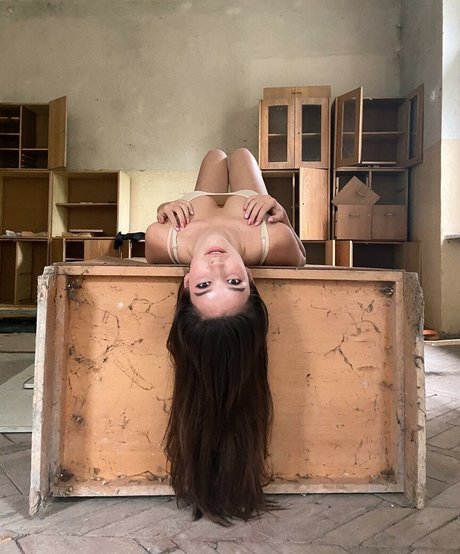 Solllomia star nice pic