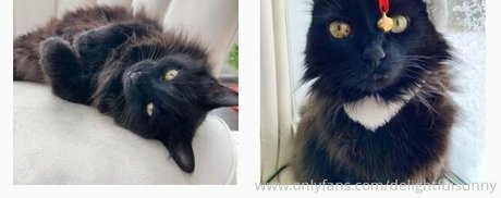 cutieblonde18 erotic actress gallery