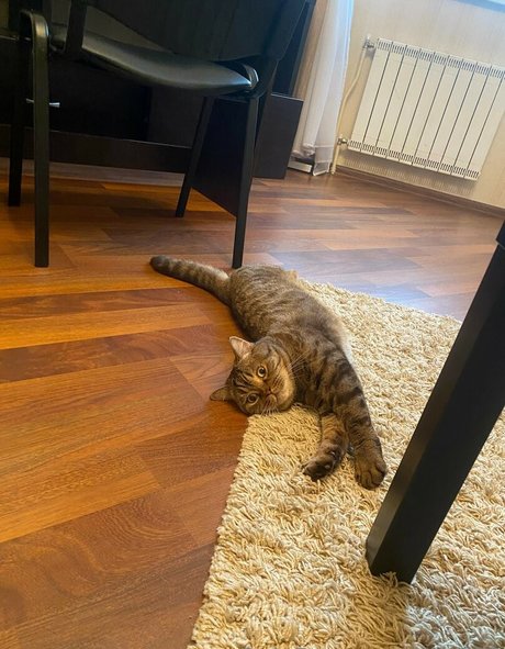 hot naked onlyfans best images