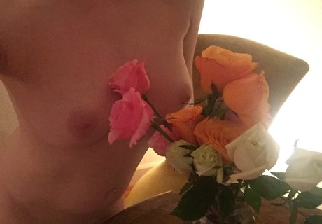 sunnylanefree star nice picture