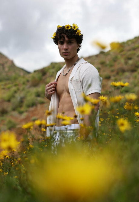 petervigilante Profile pic