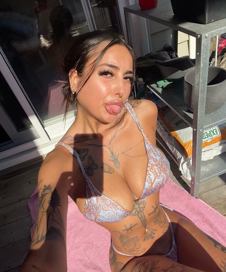 sugarttitts exclusive star gallery