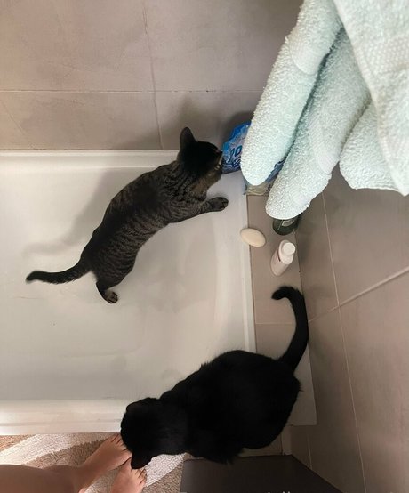 hairy milf onlyfans sex image