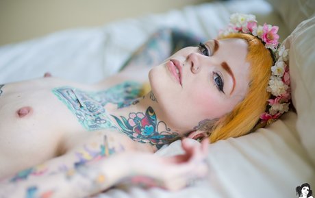 Faun nice star images