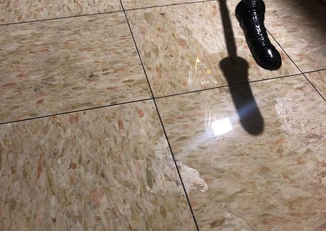 muieru sex model archive