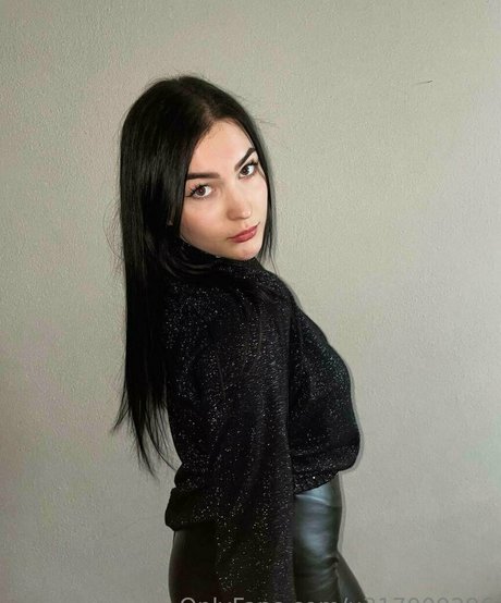 dina 69 art star pictures