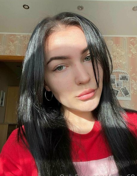 dina 69 star free img