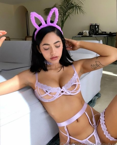 Novlux star top gallery