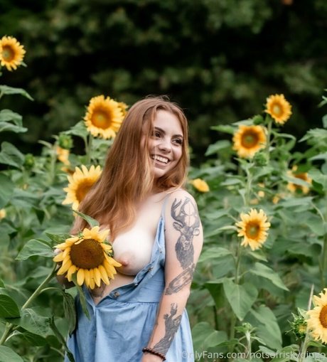 Notsofriskydingo top pornstar picture