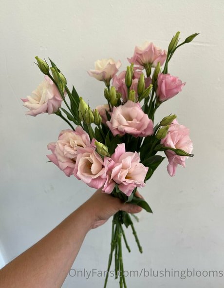 white lingerie onlyfans erotic image