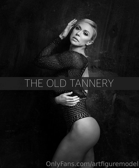 artfiguremodel nude pornstar photos