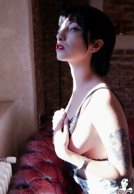 Glacialuz hd star galleries