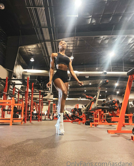 jasdane adult model img