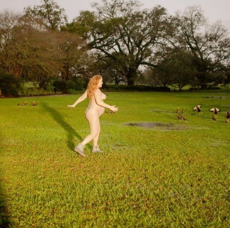 Amy Schumer nice pornstar galleries