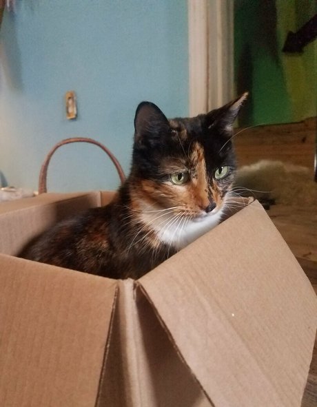 casting curvy onlyfans nude img