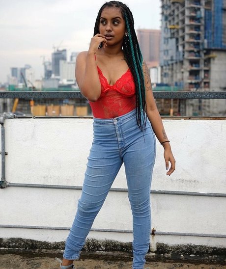 Indian Exhibition Quick model image