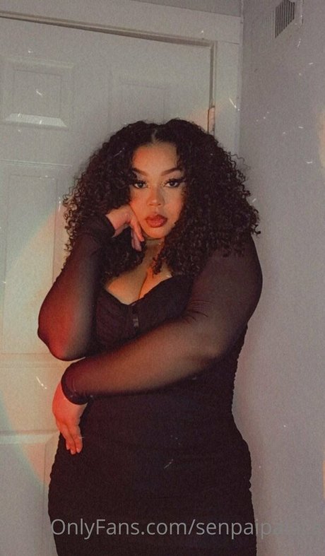 senpaipalace star art galleries