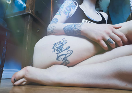 lavender bloodlust free hd star images