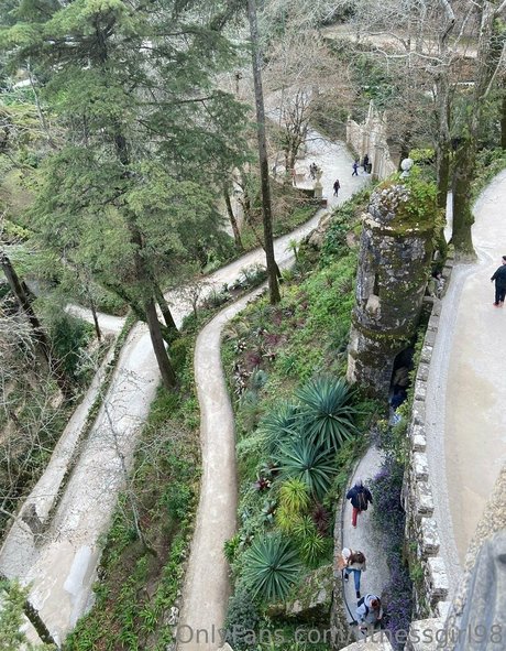 fitnessgirl98 model adult picture