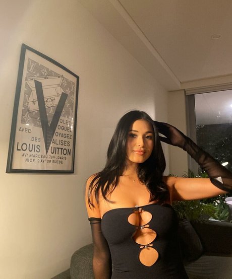 catsinasock model top img