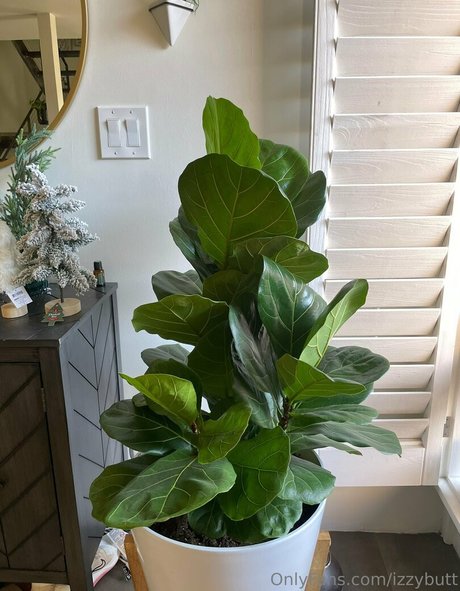 izzybutt naked pornstar image