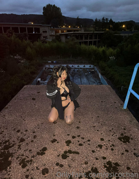 sucubofree high quality pornstar galleries