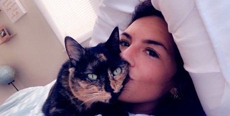 Taylor Horner hd star archive