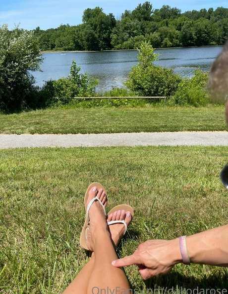 dakodarose nice model archive