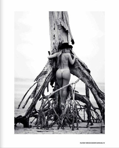 Andressa Ribeiro best pornstar gallery