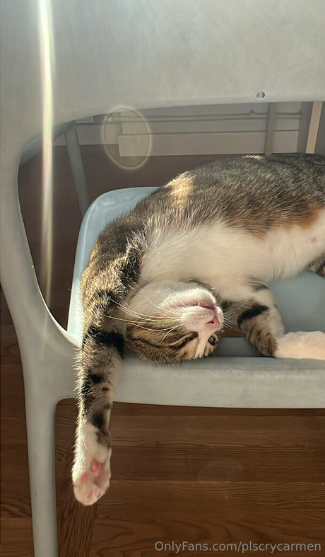 plscrycarmen model hd archive