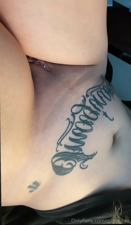 quaesitax star exclusive image