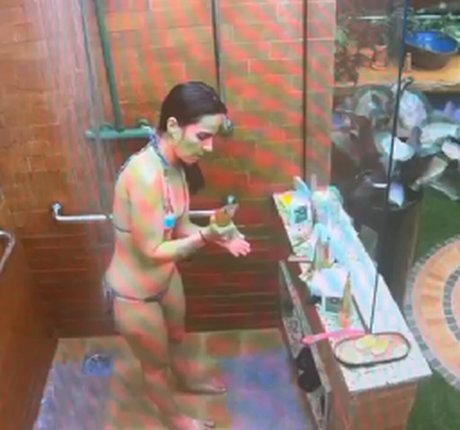 Wanessa Camargo art pornstar photo